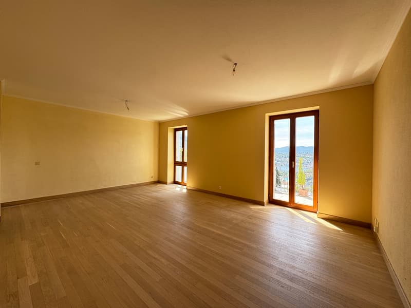 ELEGANTE APPARTAMENTO 3.5 LOCALI IN CASA D'EPOCA (4)
