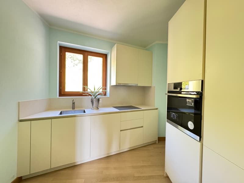 ELEGANTE APPARTAMENTO 3.5 LOCALI IN CASA D'EPOCA (6)