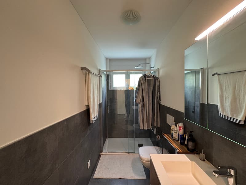 4.5 LOCALI RECENTE CON GIARDINO (11)