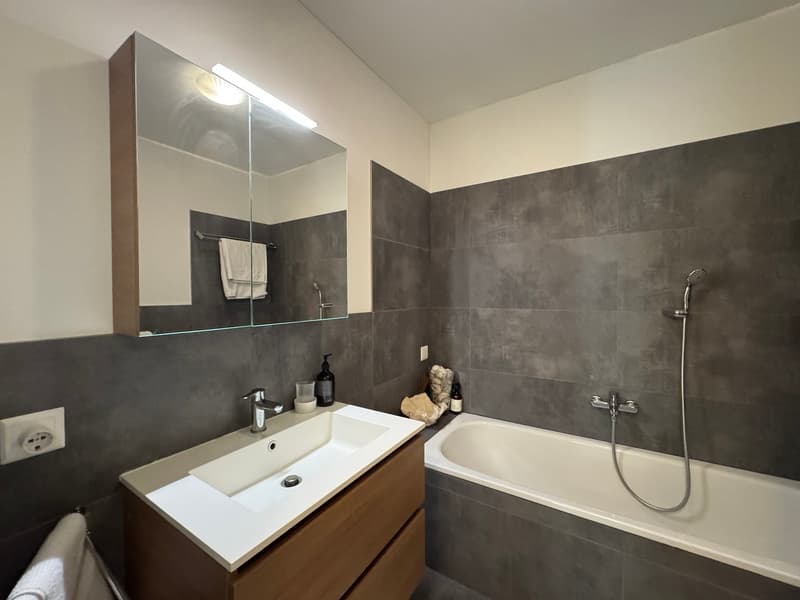 4.5 LOCALI RECENTE CON GIARDINO (9)