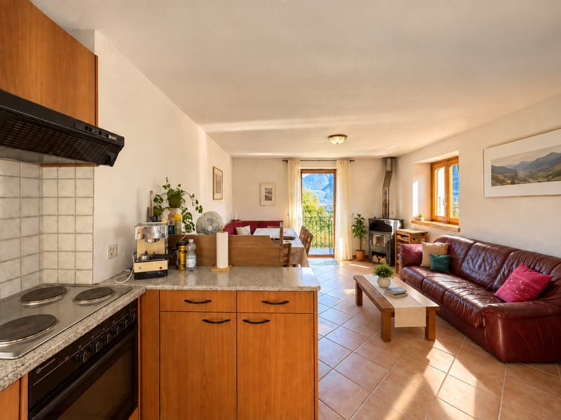 CASA RUSTICA DI 2.5 LOCALI (4)