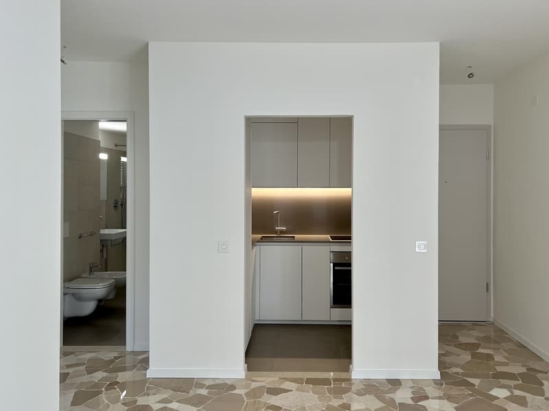 APPARTAMENTI 2.5 LOCALI COMPLETAMENTE RISTRUTTURATI (2)