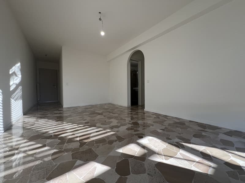 APPARTAMENTI 3.5 LOCALI COMPLETAMENTE RISTRUTTURATI (5)