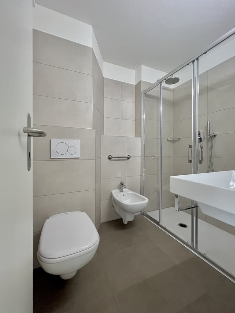 APPARTAMENTI 3.5 LOCALI COMPLETAMENTE RISTRUTTURATI (9)