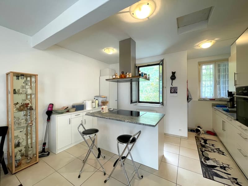 CASA CON DUE APPARTAMENTI (5)