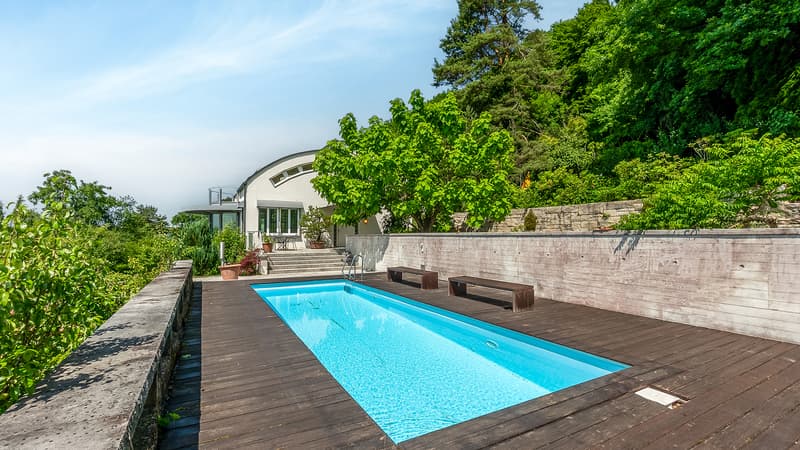 Garten mit Pool