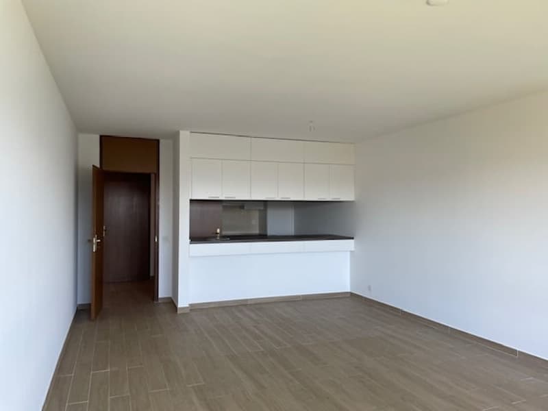 Spazioso appartamento di 2.5 locali con piscina  e vista panoramica a Ruvigliana (3)