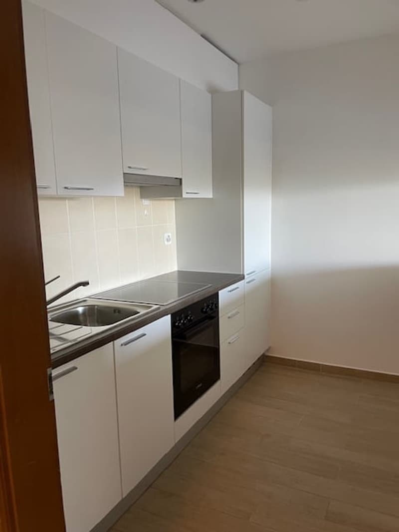Spazioso appartamento di 2.5 locali con piscina  e vista panoramica a Ruvigliana (4)