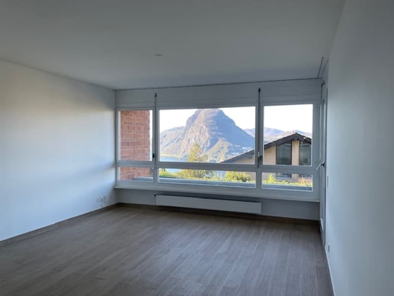Spazioso appartamento di 2.5 locali con piscina  e vista panoramica a Ruvigliana (5)
