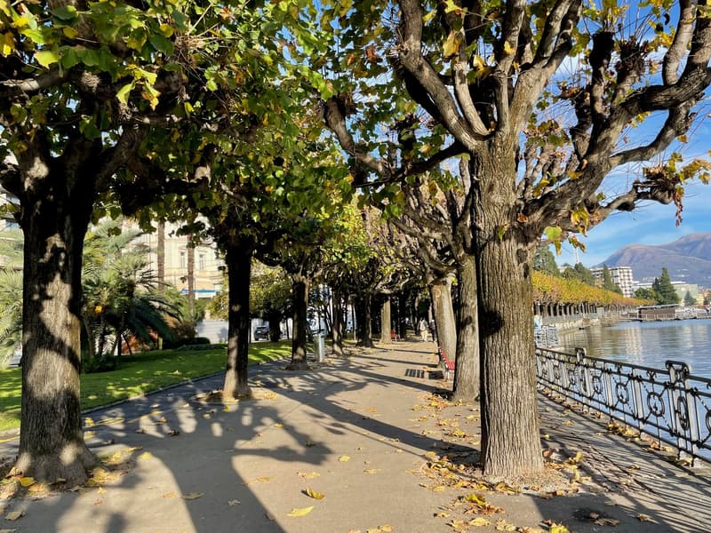 Nuovo appartamento di 3 locali con giardino nel centro di Lugano (6)