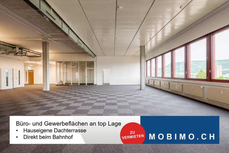 Relais102 - 740 m² ausgebaute Büro-/Gewerbefläche mit Dachterrasse (1)