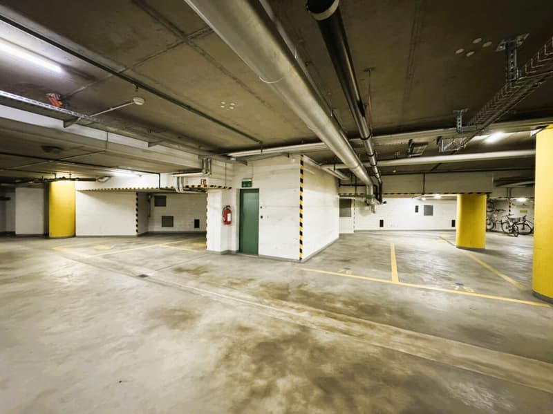 Friesenbergstr. 75 - Places de parking à louer dans le garage souterrain 1.9m (7)