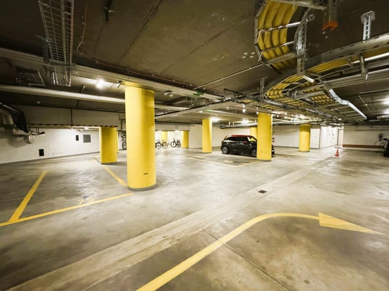 Friesenbergstr. 75 - Places de parking à louer dans le garage souterrain 1.9m (3)
