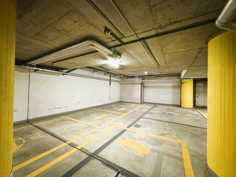 Friesenbergstr. 75 - Places de parking à louer dans le garage souterrain 1.9m (8)