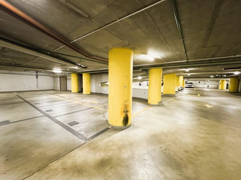 Friesenbergstr. 75 - Places de parking à louer dans le garage souterrain 1.9m (6)