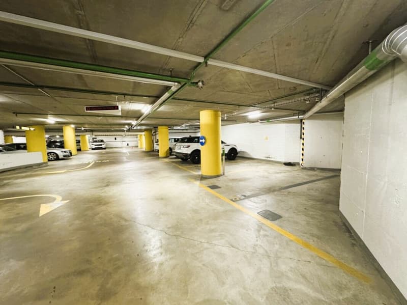 Friesenbergstr. 75 - Places de parking à louer dans le garage souterrain 1.9m (4)
