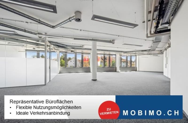 Zürichstrasse 72 - 199 m² (1)