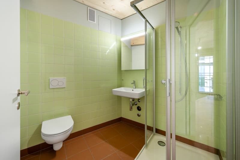 Wunderschöne 5.5-Zimmerwohnung mit Blick ins Grüne (2)