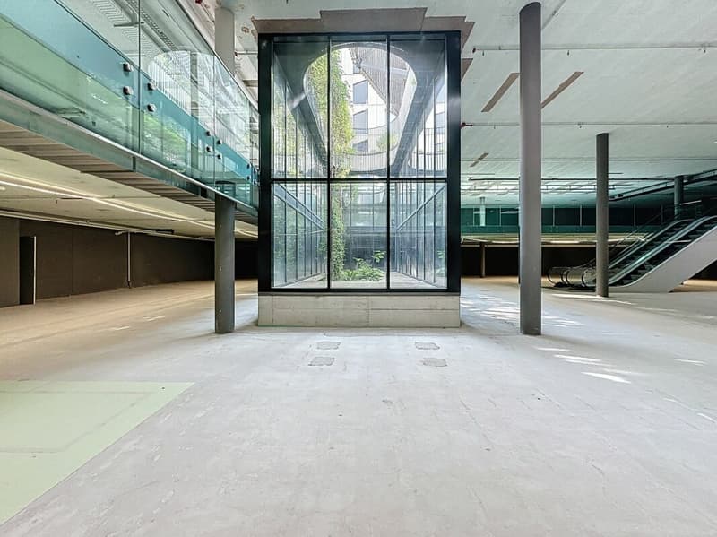 Surface unique de 2'500 m², divisible, au centre de Lausanne (5)