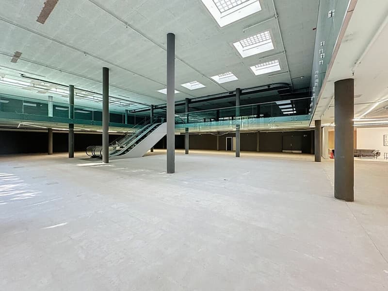 Surface unique de 2'500 m², divisible, au centre de Lausanne (3)