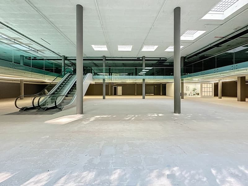 Surface unique de 2'500 m², divisible, au centre de Lausanne (4)