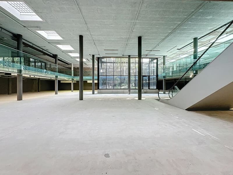 Surface unique de 2'500 m², divisible, au centre de Lausanne (2)