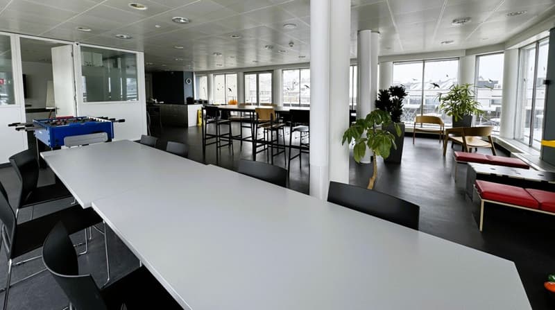 Vielseitiger Geschäftsraum im EG (9)