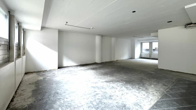 Vielseitiger Geschäftsraum im EG (4)