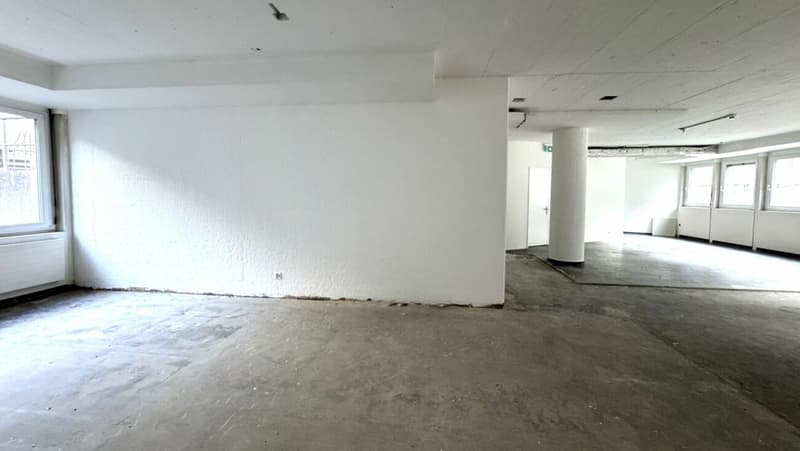 Vielseitiger Geschäftsraum im EG (5)