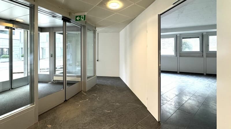 Vielseitiger Geschäftsraum im EG (7)