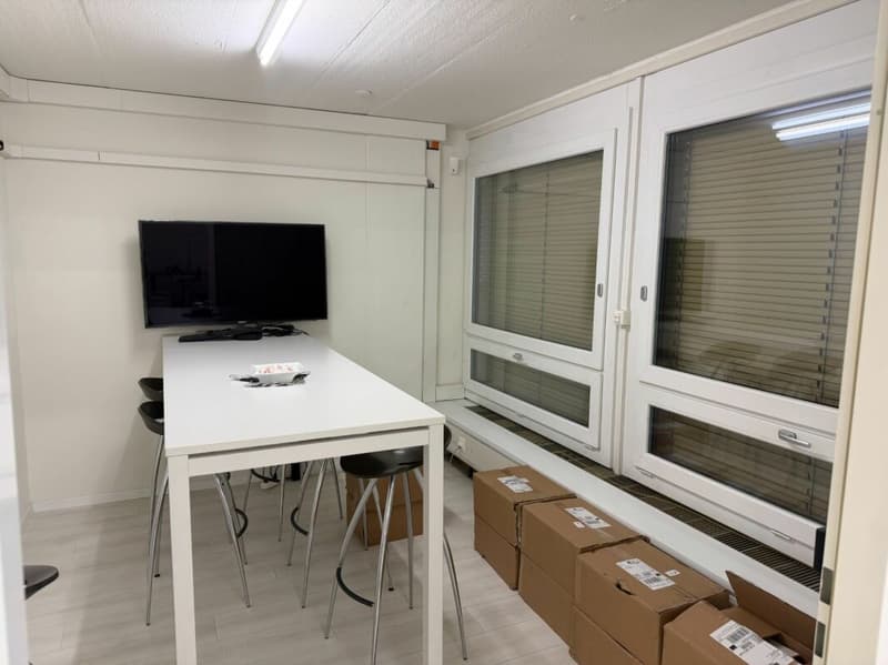 Rautistrasse 12 - Ausgebaute Büroflächen an attraktiver Lage (4)