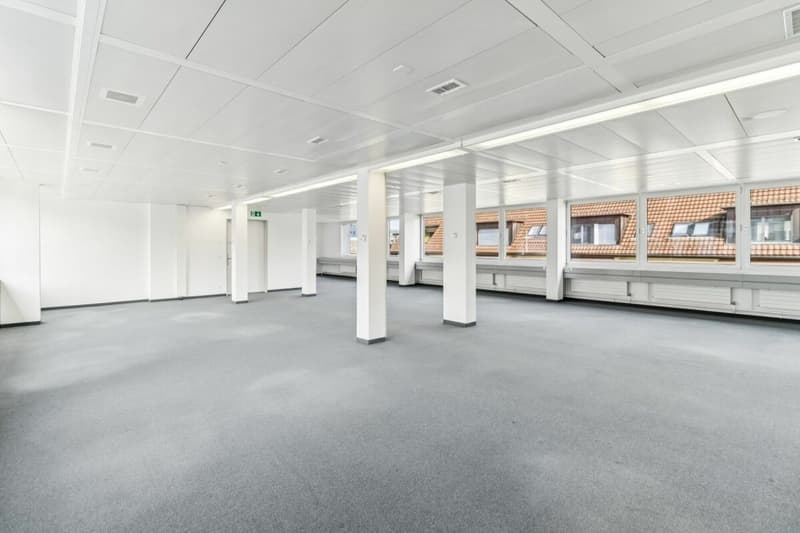 Repräsentative Bürofläche im 4. Obergeschoss in Zürich-Altstetten (9)