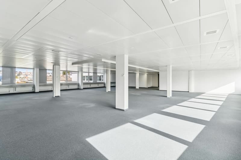 Vielseitig nutzbare Bürofläche an der Badenerstrasse in Zürich-Altstetten (9)