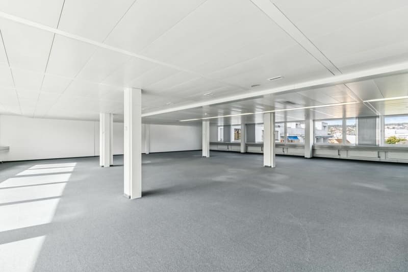 Vielseitig nutzbare Bürofläche an der Badenerstrasse in Zürich-Altstetten (6)