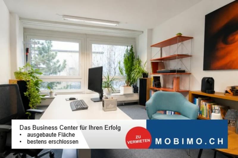 Rautistrasse 12: Ausgebautes Einzel- oder Doppelbüro (1)