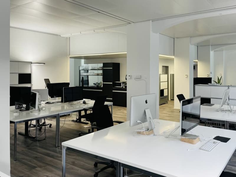 Repräsentative Bürofläche in Wollishofen - ready to move in (4)