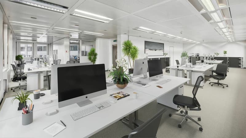 Über den Dächern arbeiten - 167 m² Büro mit Terrasse (12)
