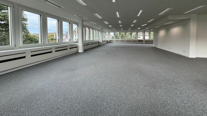 Inspirierendes Büro mit Sicht ins Grüne (2)