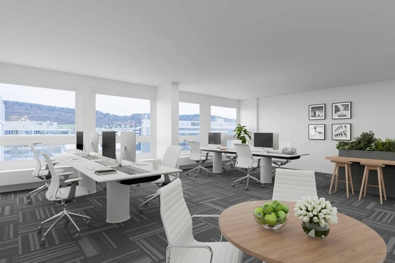 Rautistrasse 12: Das Business Center für Ihren Erfolg (9)