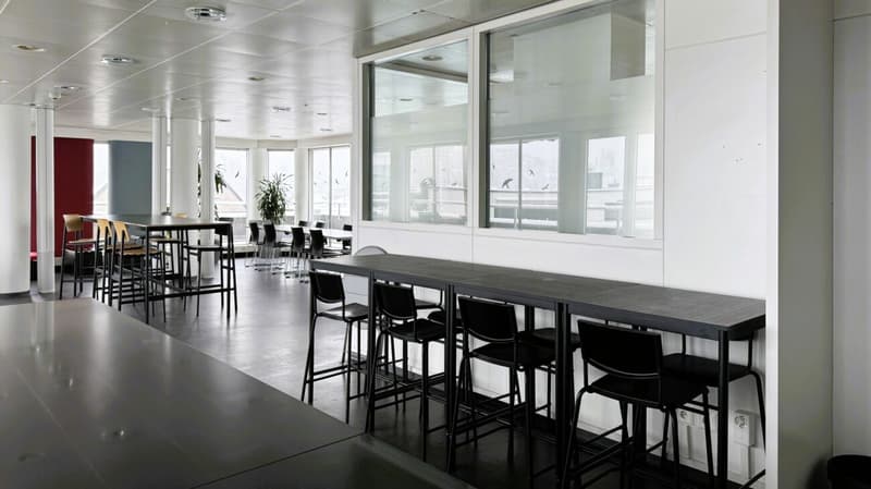 Arbeiten über den Dächern von St. Gallen: 231 m² Büro mit Terrasse (4)