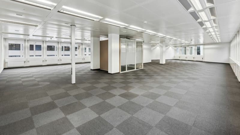 Work & View - Büro mit 371 m² und Dachterrasse im Herzen der Stadt (2)