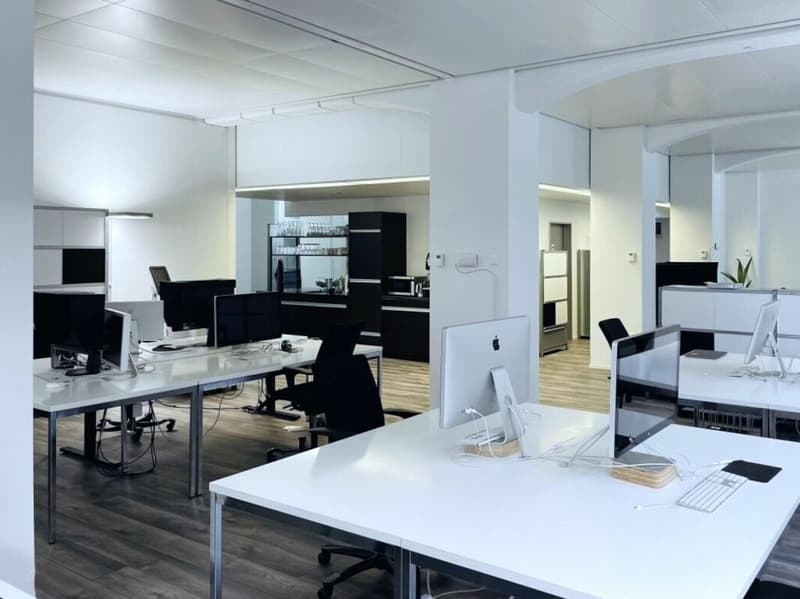 Repräsentative Bürofläche in Wollishofen - ready to move in (4)