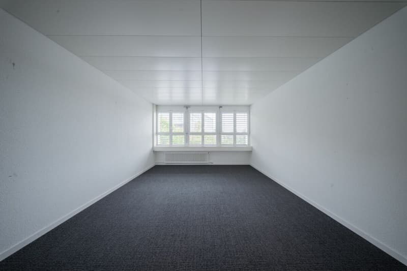 Horgen - 4 ausgebaute Büros Plug & Play (2)
