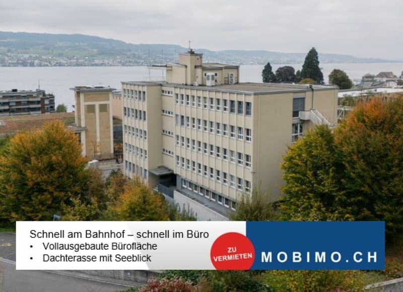 Horgen - 4 ausgebaute Büros Plug & Play (1)