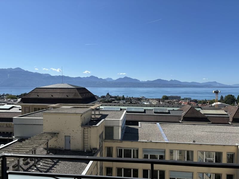 Bureau de 116 m2 vue lac à deux pas de la gare (4)