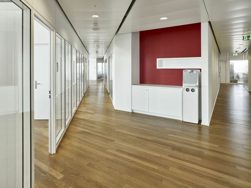 Polygon - Repräsentativer Unternehmensstandort mit ca. 1'630 m² (4)