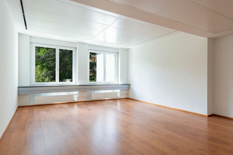 Einzelbüro für Plug and Play Nutzung (3)