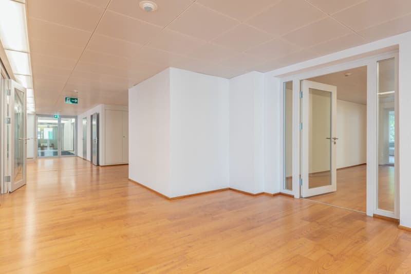 Einzelbüro für Plug and Play Nutzung (7)