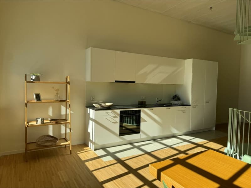 Einzigartige Loftwohnung mit Bogenfenster und Dachterrasse (3)
