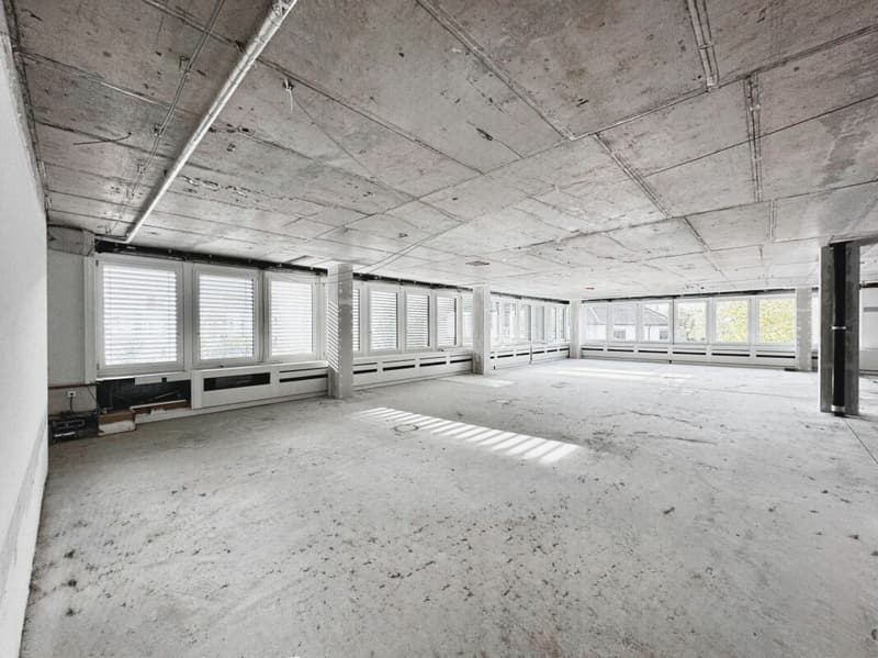 Lichtdurchflutetes Büro? Wir haben es. (8)